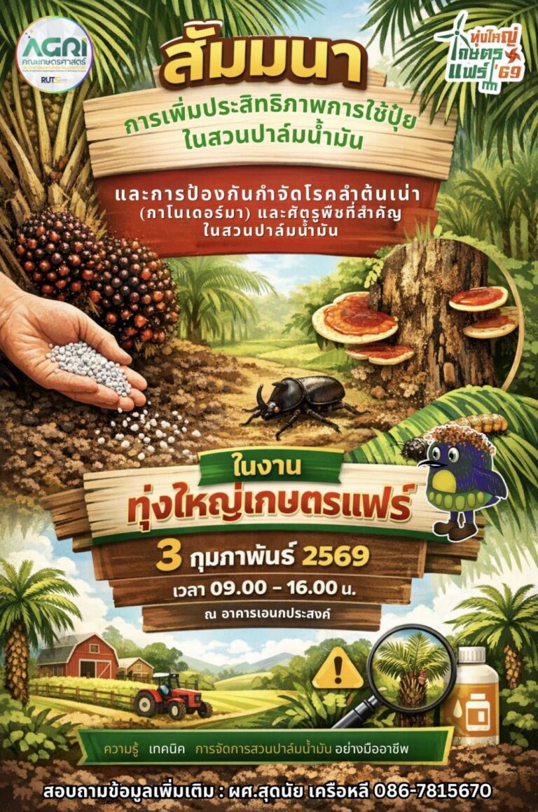 615364224 1340232508144003 1906078860731218542 n