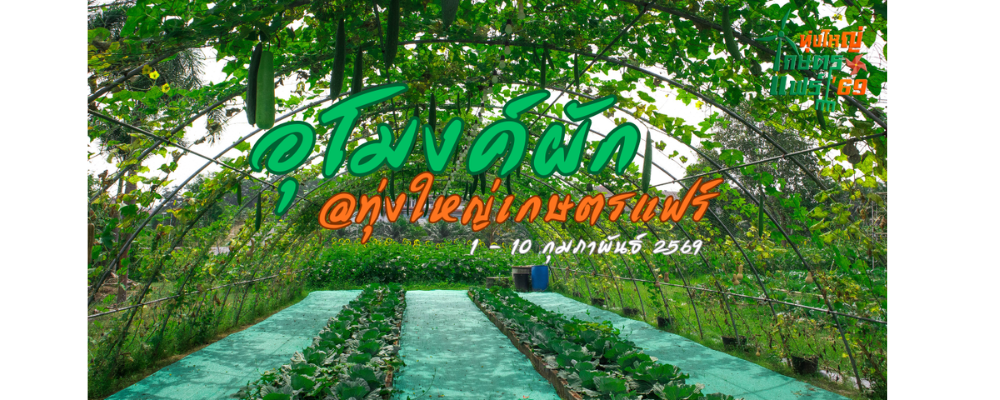 ดีไซน์ที่ยังไม่ได้ตั้งชื่อ